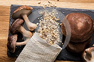 Flat lay view of dry powder made of shiitake mushrooms, Lentinula edodes. photo