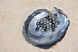 Flat lay view of excellent Round Tahitian Black Pearls photo