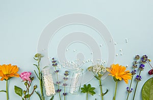 Flat lay view homeopathic medicine pills in jars and spilled around on light blue background, decorated with fresh various herbs.