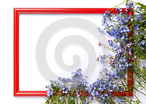 Flat lay view of red wooden frame with small violet flowers and green leaves on white background