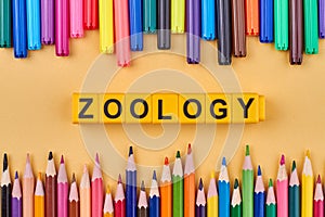 Flat lay with word zoology written on yellow cubes and colorful pencils.