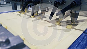 flat layer of dough on moving conveyor belt prepared for making buns.