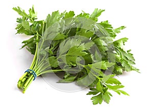 Flat Leaf Parsley