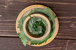 Flat leaf parsley on brown wood