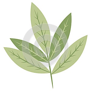 Flat Leaves Icon Vector Illustration