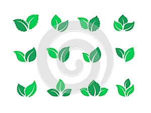 Flat leaves set. Vegan green food logos, farm plant eco energy, simple forest leaf herbal tea label. Vector set of green