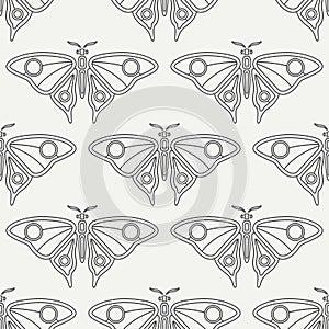 Flat line vector seamless pattern wildlife fauna, butterfly. Simplified retro cartoon style. Insect. Beetle. Entomology