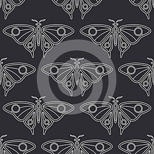 Flat line vector seamless pattern wildlife fauna, butterfly. Simplified retro cartoon style. Insect. Beetle. Entomology