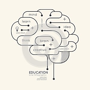 Flat linear Infographic Education Outline Brain Concept.Vector