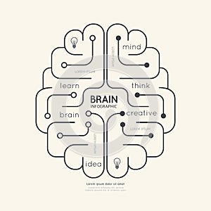 Flat linear Infographic Education Outline Brain Concept.Vector