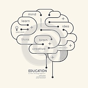 Un piso lineal educación describir cerebro. 