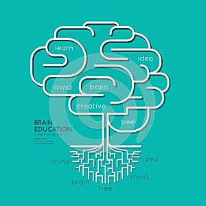 Flat linear Infographic Education Outline Brain Roots Concept.