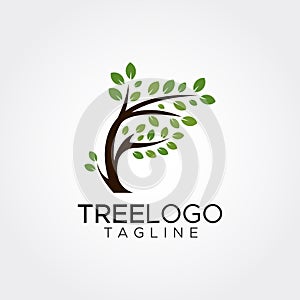 Flat minimalist tree logo template