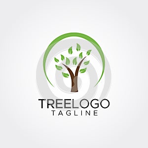 Flat minimalist tree logo template