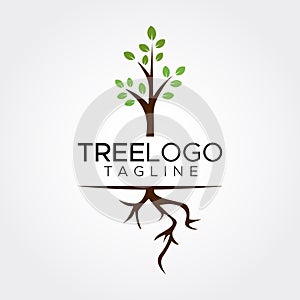 Flat minimalist tree logo template