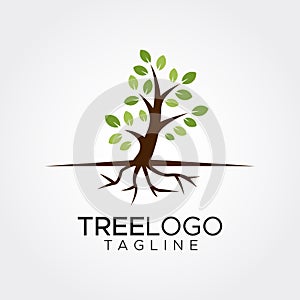 Flat minimalist tree logo template