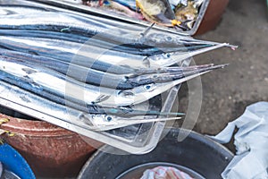 Flat Needlefish, locally known as Balo, and other seafood for sale at a public market photo
