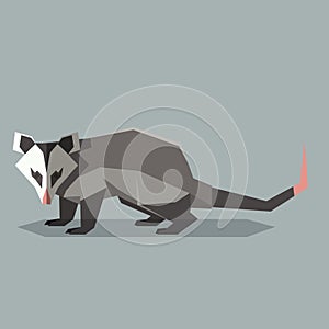 Flat polygonal Opossum