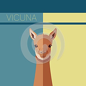 Flat postcard with Vicuna
