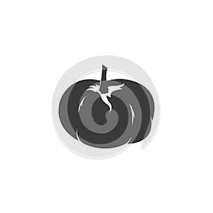 Flat pumkin design logo illustrations vector template