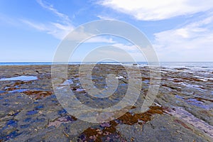 The flat rocky shore at Staithes on the North Yorkshire coast