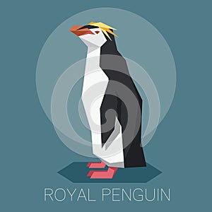 Flat Royal penguin