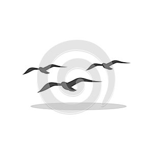 Flat Seagull Birds in Sky icon with shadow