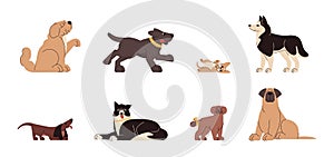 Flat set of various dog breeds and sizes