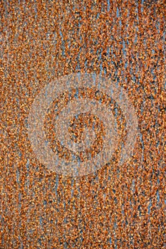 Flat sheet of iron with pattern and texture in orange rust from extensive oxidation, as an abstract background