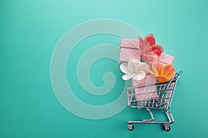 Flat with spring shopping. Holiday shopping. Happy shopper. Shopping cart background.