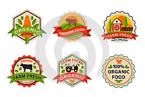 Flat style of bio organic eco healthy food label logo template and vintage vegan farm element in orange green color