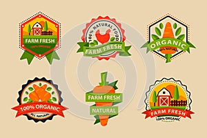 Flat style of bio organic eco healthy food label logo template and vintage vegan farm element in orange green color