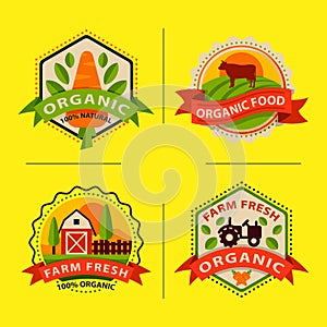 Flat style of bio organic eco healthy food label logo template and vintage vegan farm element in orange green color