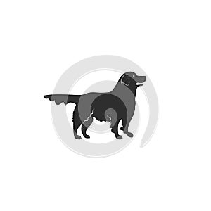 Flat style icon of golden retriever. Cute family dog. Simple silhouette pictogram for different design