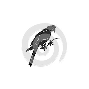 Flat style icon of parrot ara and plumeria flowers. Cute character for different design. Simple silhouette pictogram