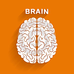 Flat style vector brain on orange background.