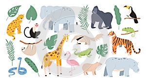 Flat tropical animals from african savannah and jungle forest. Cartoon tiger, monkey, flamingo, elephant and sloth. Safari animal