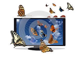 Flat TV with blue sky and insects