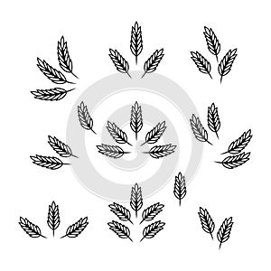 Flat Vector Agriculture Wheat Icon Set Isolated. Organic Wheat and Rice Ears. Design Template for Bread, Beer Logo