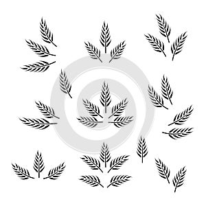 Flat Vector Agriculture Wheat Icon Set Isolated. Organic Wheat and Rice Ears. Design Template for Bread, Beer Logo