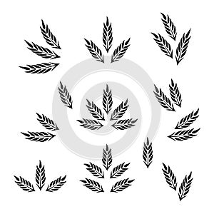 Flat Vector Agriculture Wheat Icon Set Isolated. Organic Wheat and Rice Ears. Design Template for Bread, Beer Logo