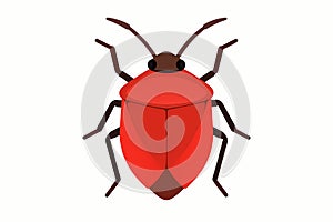 Flat vector bug with red shell and symmetrical horns, shield bug style, vector-friendly, isolated on white