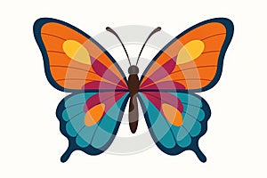 Flat vector butterfly with large colorful wings in symmetrical pattern, vector-friendly, isolated on white