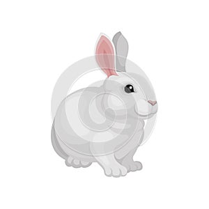 Flat vector design of adorable rabbit. Cute mammal animal. White bunny with long pink ears. Home pet