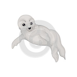 Flat vector design of swimming or lying seal pup. Marine mammal with gray fur and black shiny eyes. Arctic animal