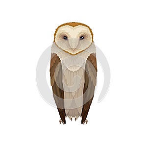 Flat vector icon of barn owl. Nocturnal bird with brown feathers and hooked beak. Wild flying creature. Fauna theme