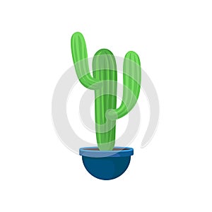 Flat vector icon of big green cactus. Decorative houseplant in blue ceramic pot. Natural element for office or home