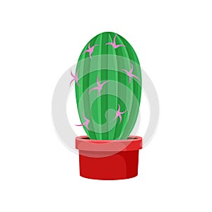 Flat vector icon of big green cactus with small pink flowers in bright red ceramic pot. Decorative houseplant