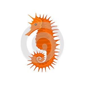 Flat vector icon of bright orange seahorse. Small sea animal. Marine creature with long snout and curled tail