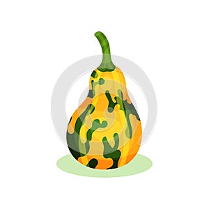 Flat vector icon of bright yellow pumpkin with green spots and stem. Healthy food. Natural farm product